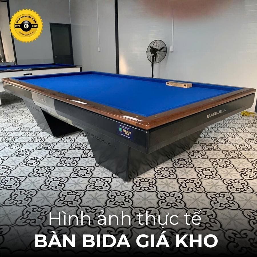 Top 8 Bàn Bida Fromm Giá Kho Tốt Nhất Mà Chủ Quán Cần Biết 2 Hình ảnh thực tế của bàn bida 3C Eagle Fromm